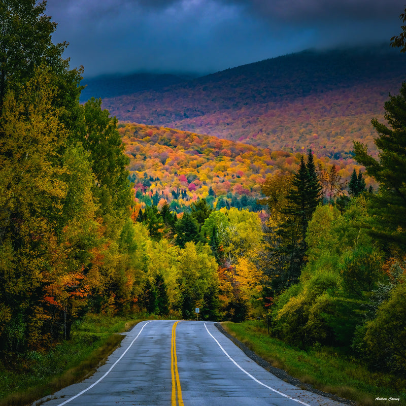 The Brilliant Colors of Fall Have Arrived in Vermont!